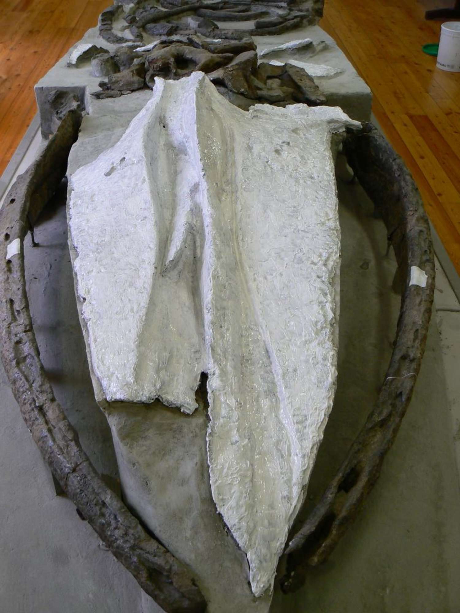 Festa scuola Ale 009